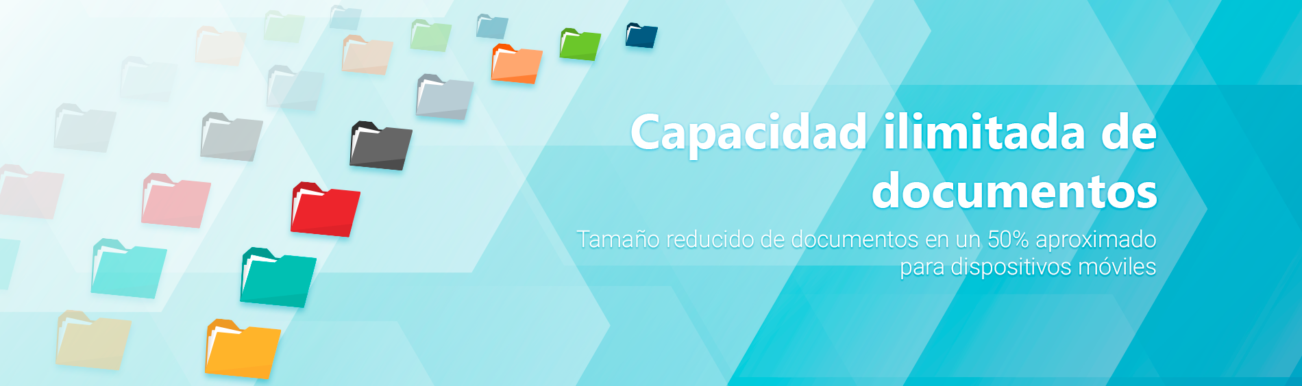 Software de administracion de documentos